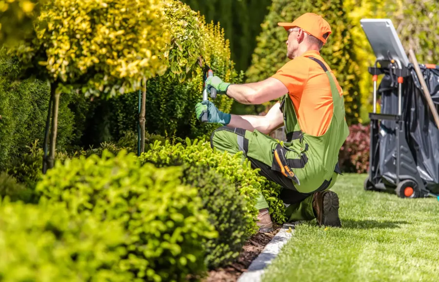 Întreținerea spațiilor exterioare